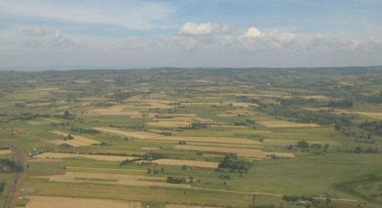 Kenya- Farms