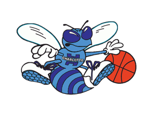 Charlotte Hornets