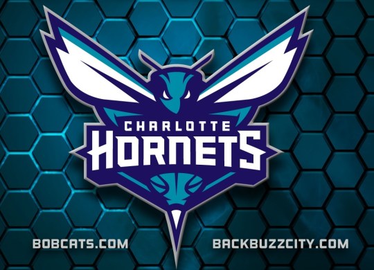 Charlotte Hornets Logo