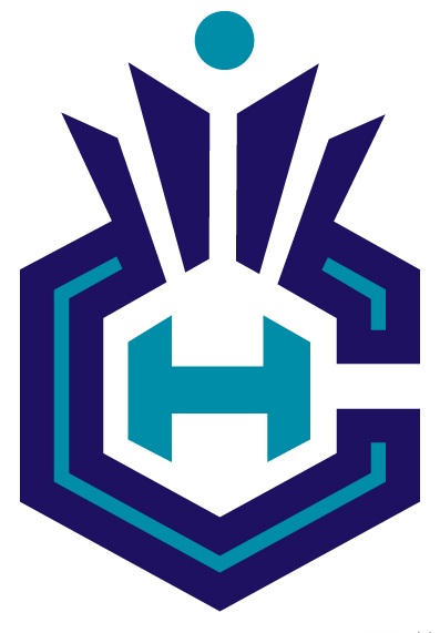 Charlotte Hornets City Logo