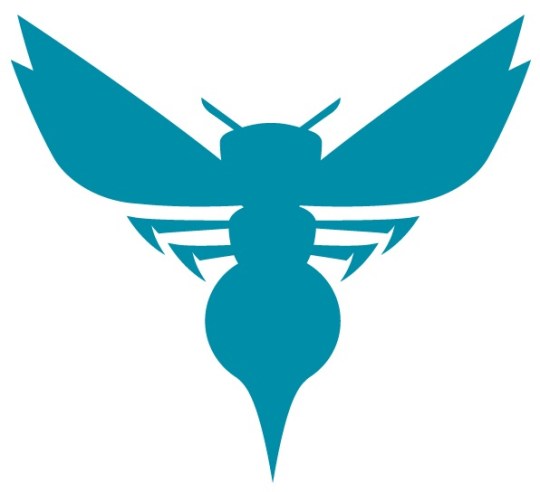 Charlotte Hornets logo