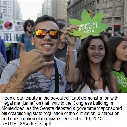 Uruguay Marijuana