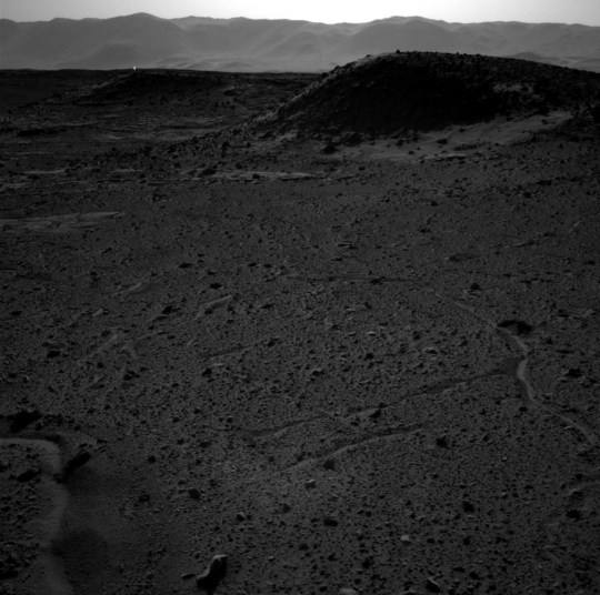 Curiosity's Navigation Camera April 3 2014