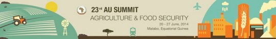AU 23rd Summit theme