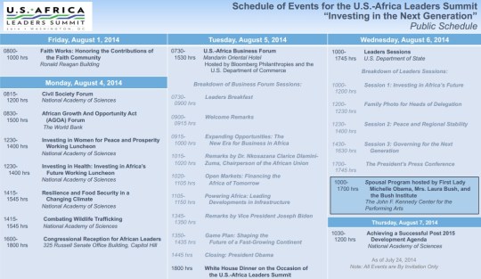 2014 U.S.-Africa Leadership Summit