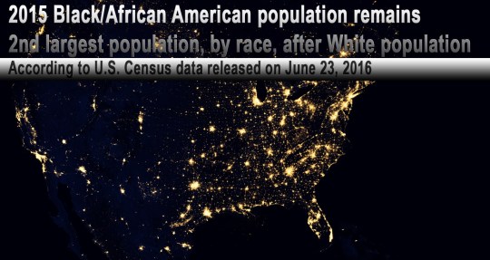 African American Population 2nd Largest By Race