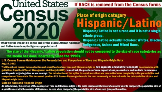 2020-census-race-category