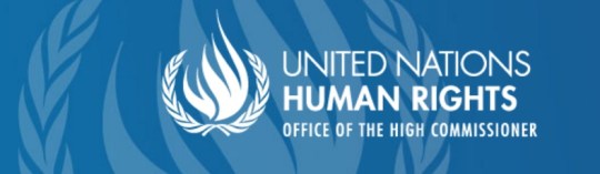 united-nations-working-group-of-experts-on-people-of-african-descent