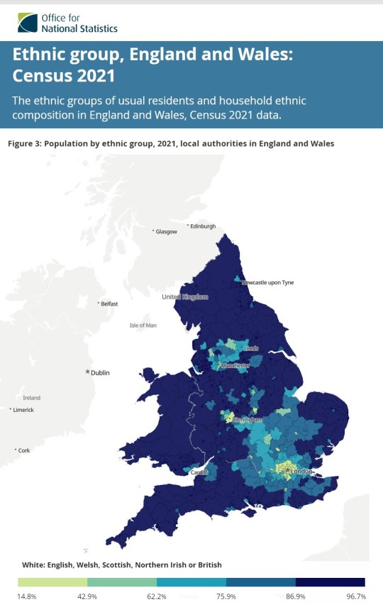 England Wales Census 2022 Ethinic Groups 12